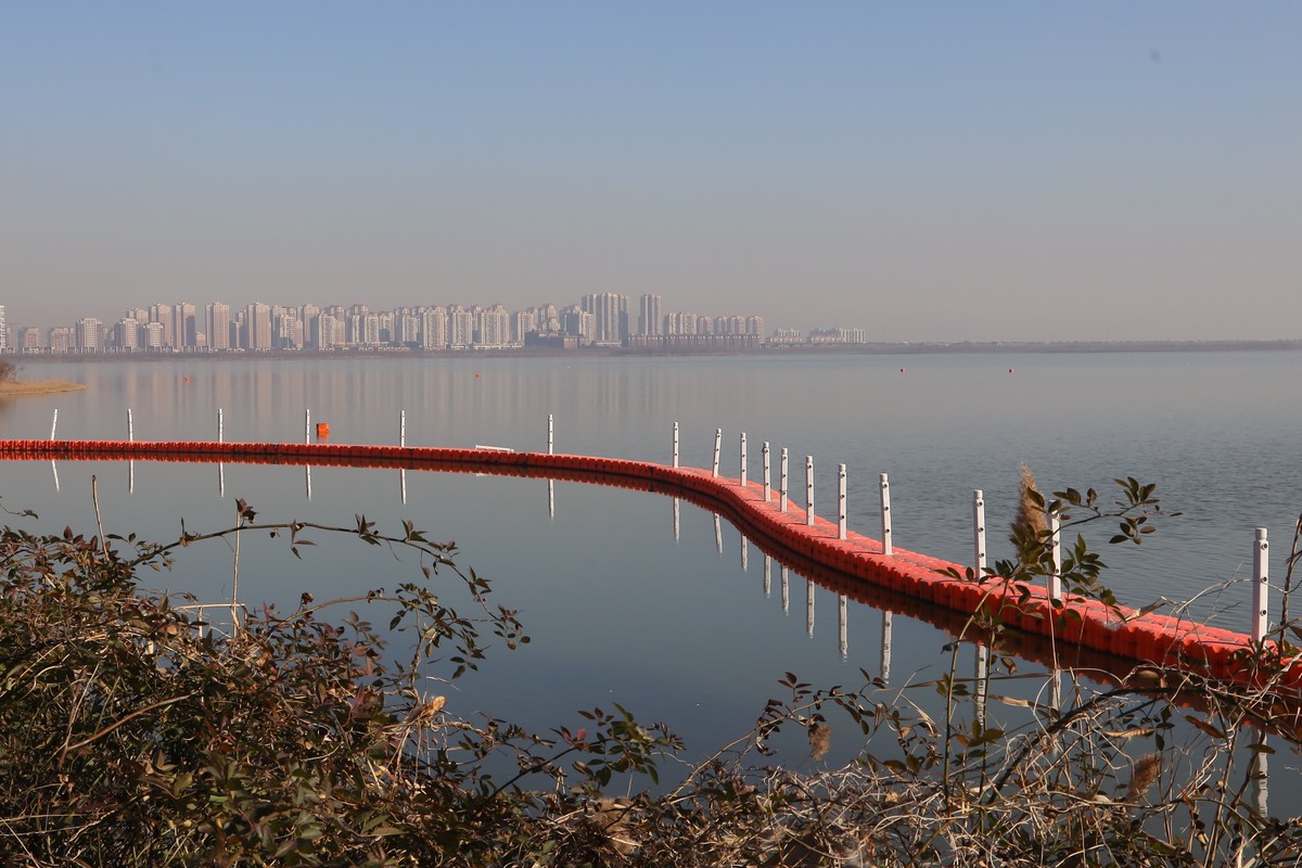 202112天津东丽湖郊野公园