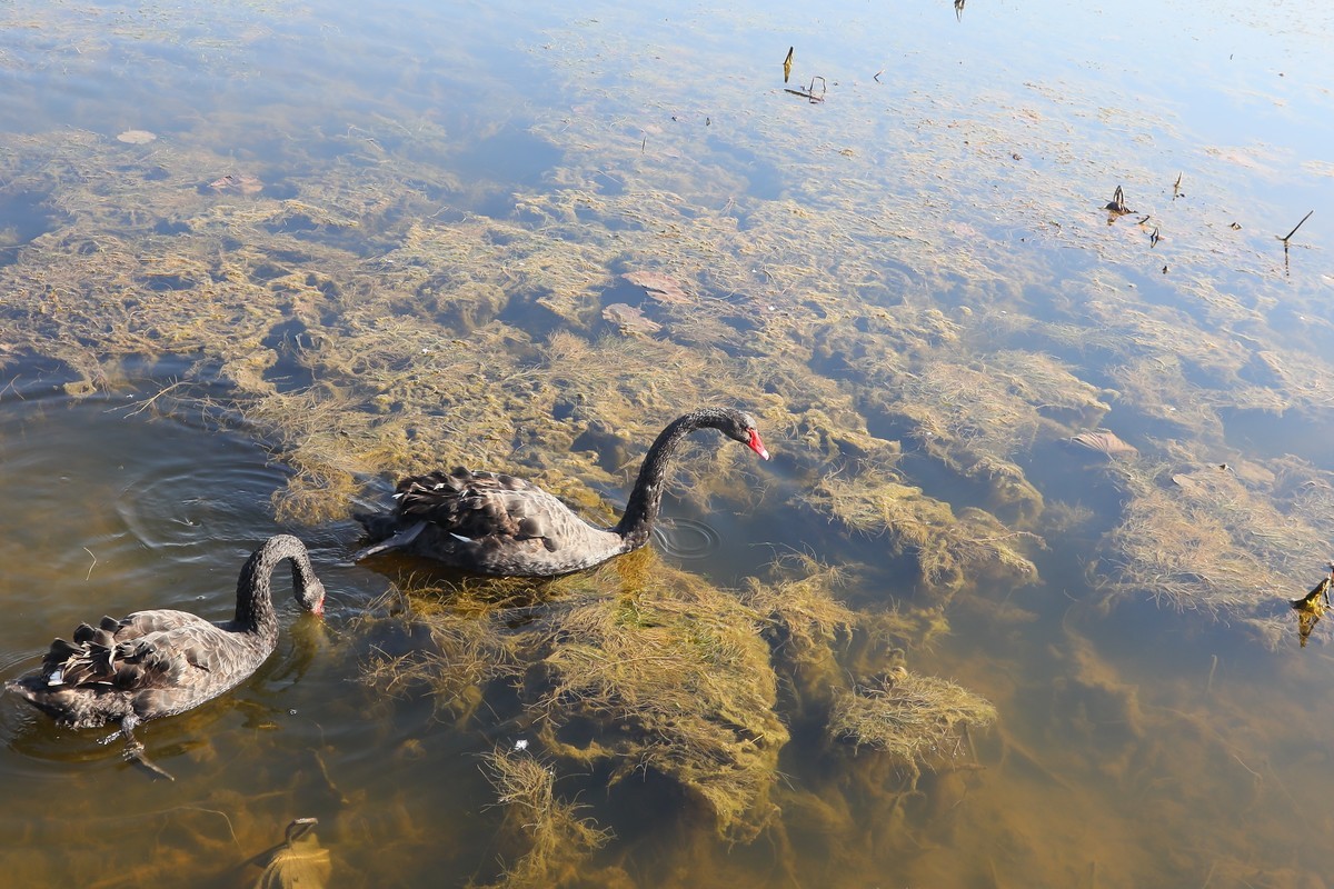 202112天津东丽湖郊野公园