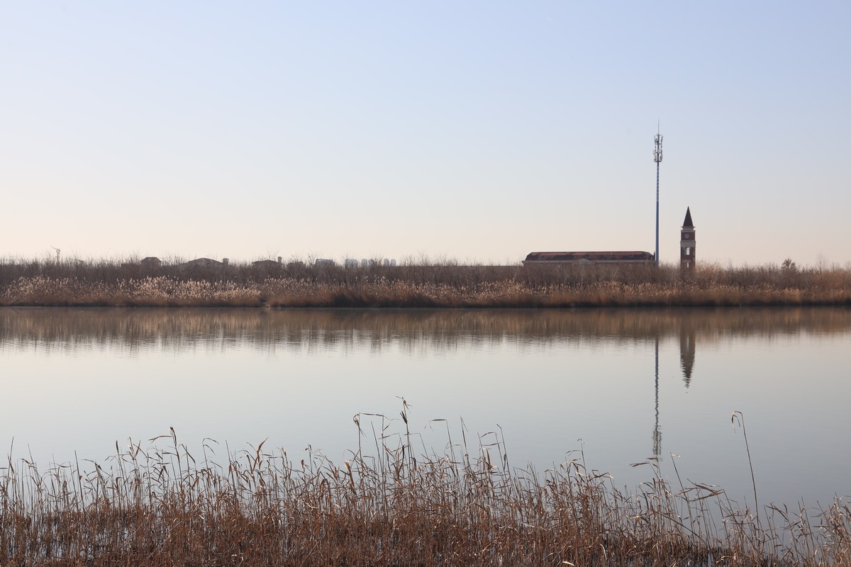 202112天津东丽湖郊野公园