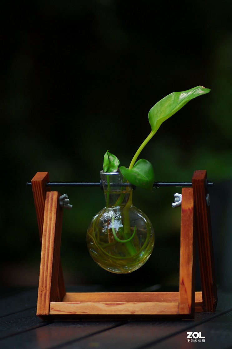 祝大家七夕节快乐《七夕节的景色》最近外出有事几天，请假一段时间。特此一贴