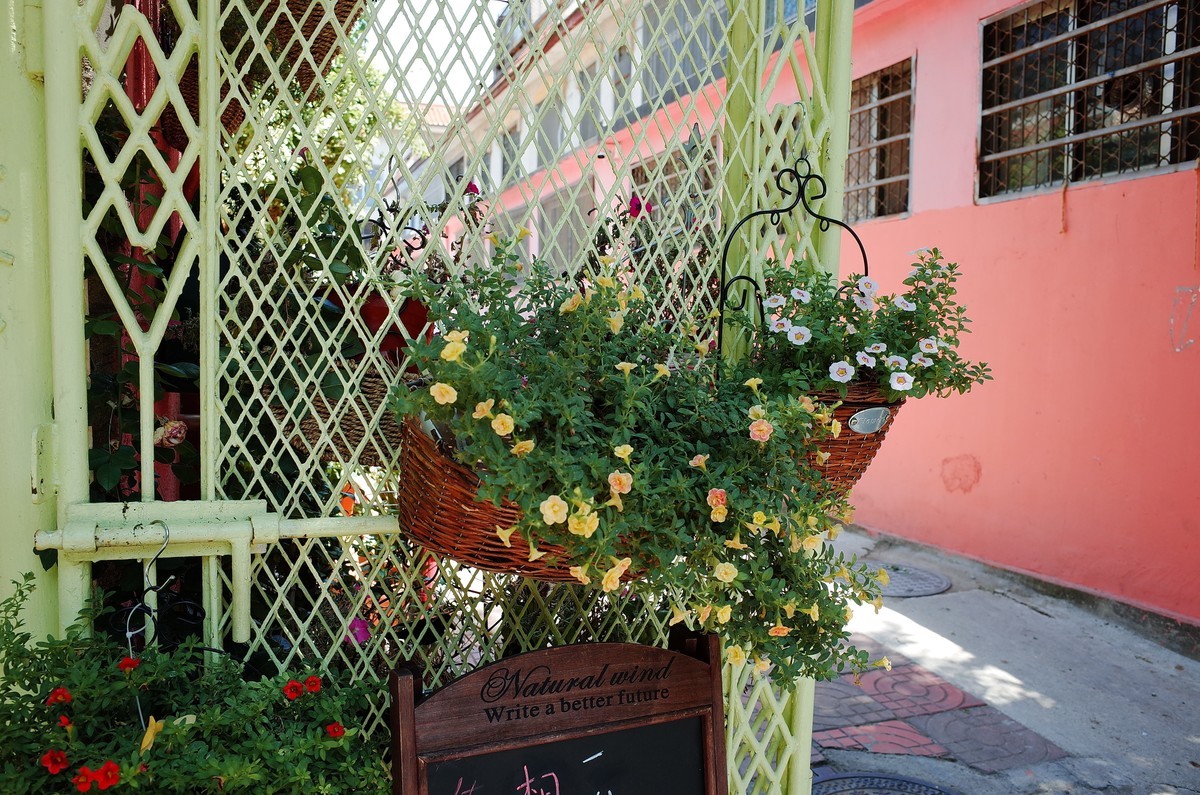 岱庙旧时光（理光GR2）