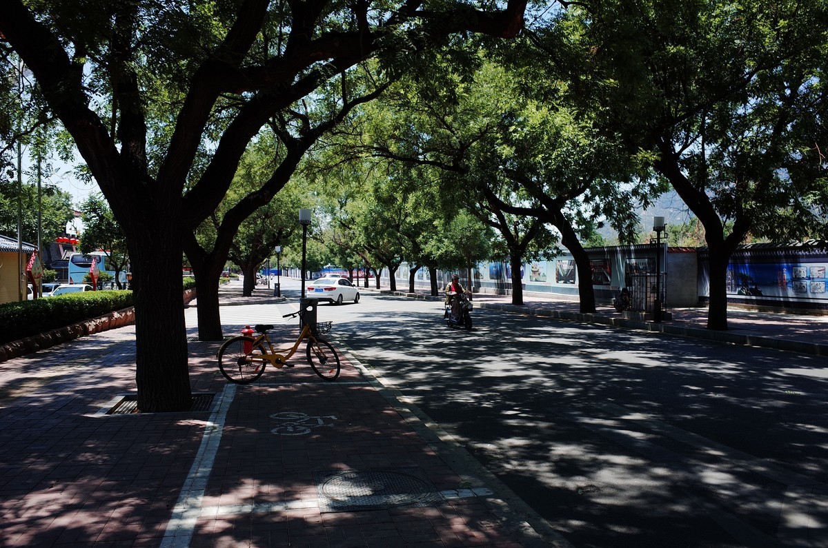 岱庙旧时光（理光GR2）