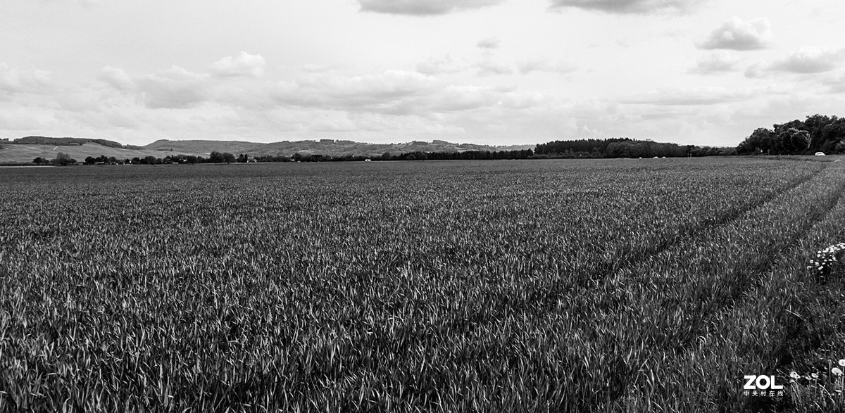 “绿毯”拜“赤峰”--祝师友安好！！