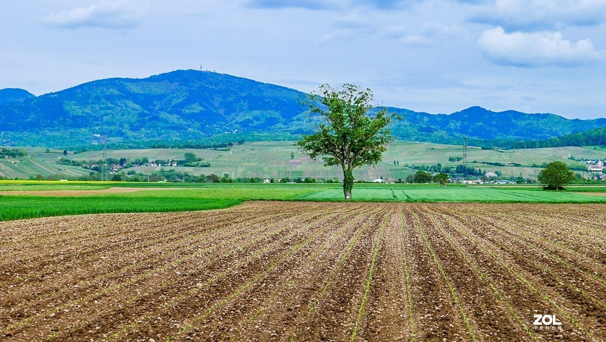 “绿毯”拜“赤峰”--祝师友安好！！