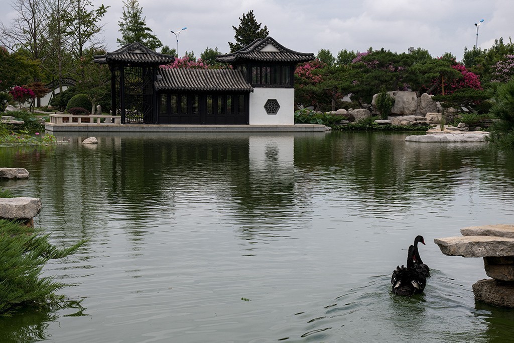 一池碧水任我游