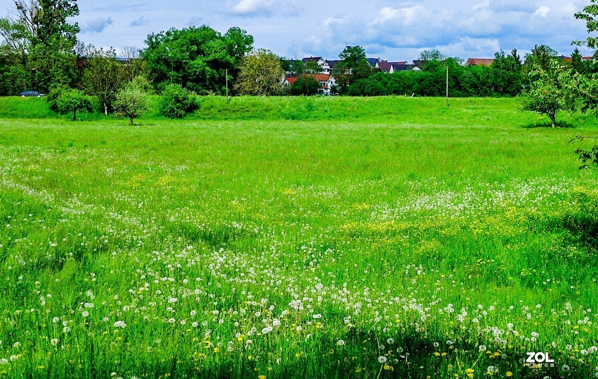 “绿毯”拜“赤峰”--祝师友安好！！