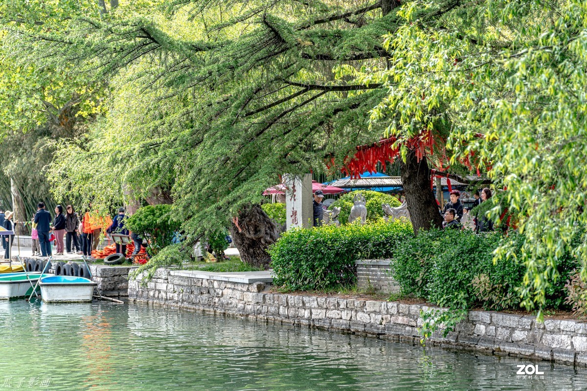 临朐老龙湾的春天