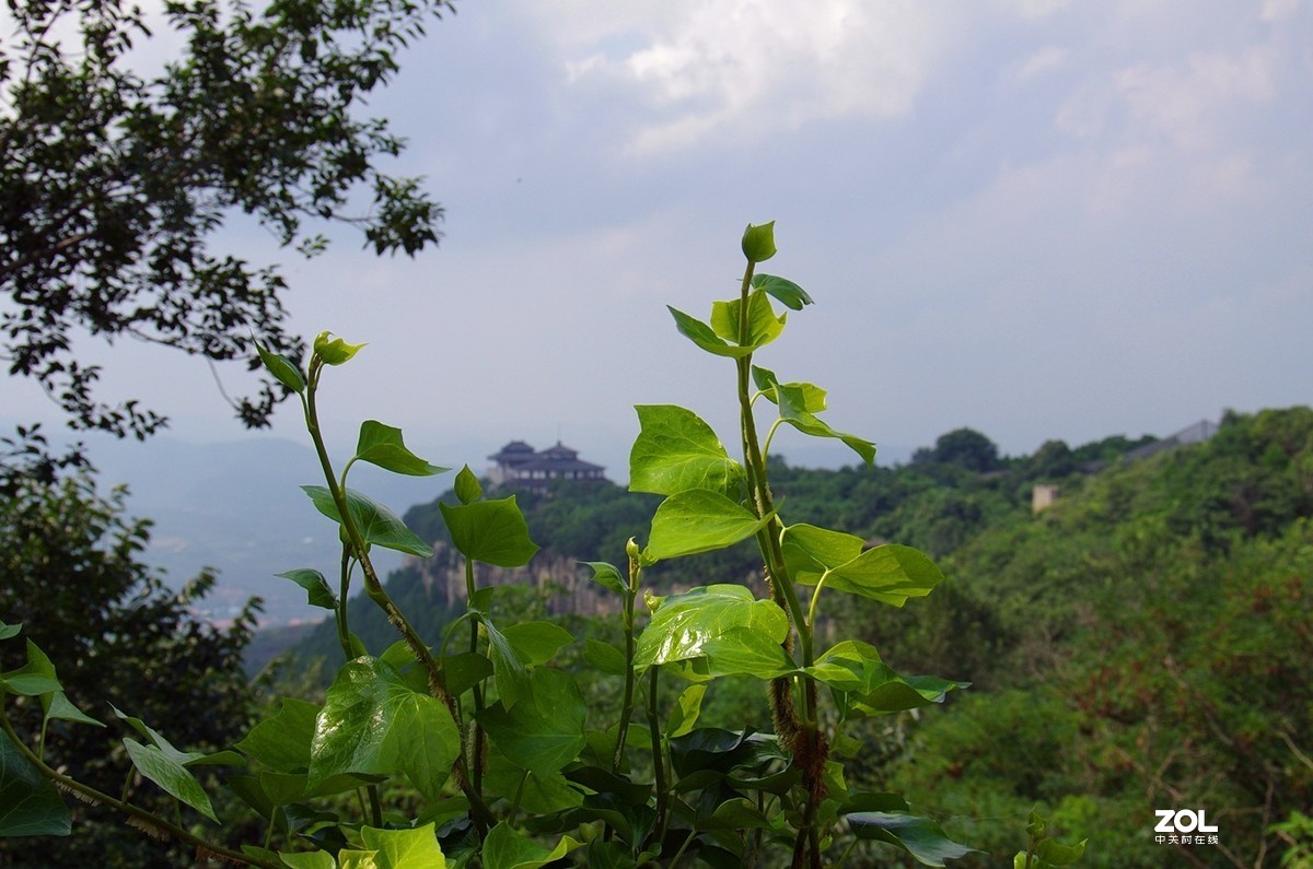 【天上王城纪王崮游拍】-15P