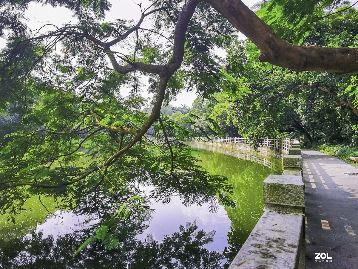 深圳東湖公園掠影