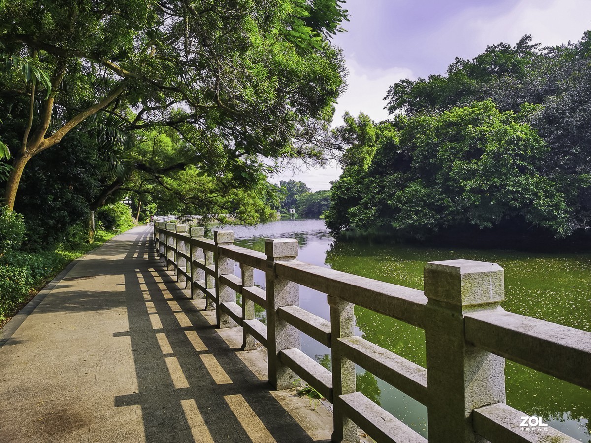 深圳東湖公園掠影