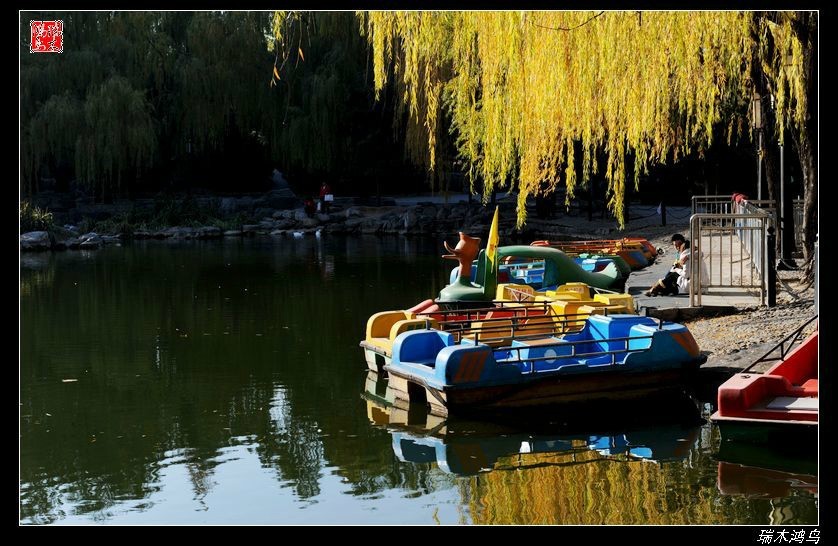 【追寻醉美秋色】4.非著名旅游景点街心公园