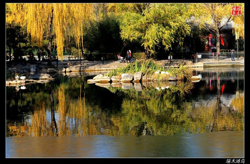 【追寻醉美秋色】4.非著名旅游景点街心公园