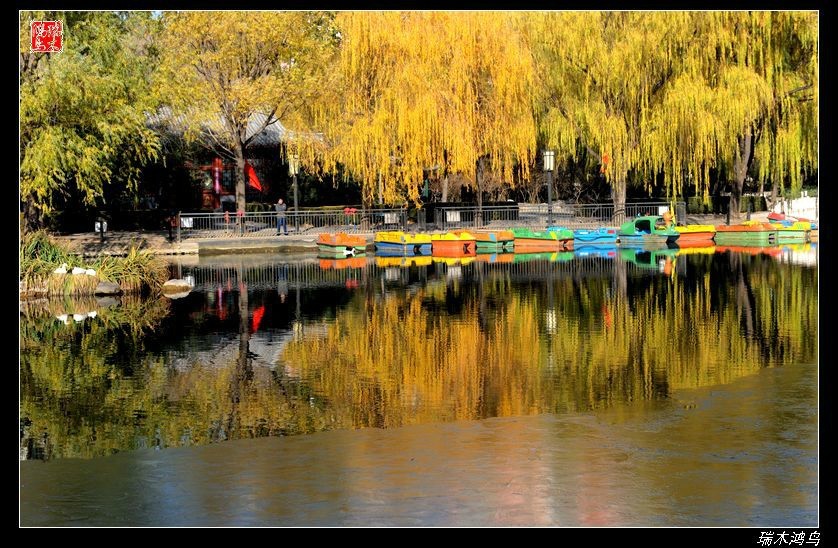 【追寻醉美秋色】4.非著名旅游景点街心公园