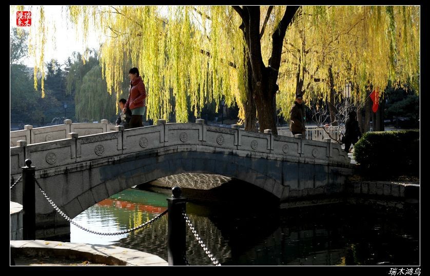 【追寻醉美秋色】4.非著名旅游景点街心公园