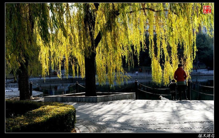 【追寻醉美秋色】4.非著名旅游景点街心公园