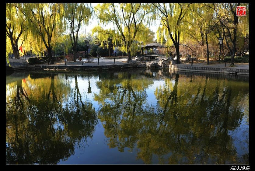 【追寻醉美秋色】4.非著名旅游景点街心公园