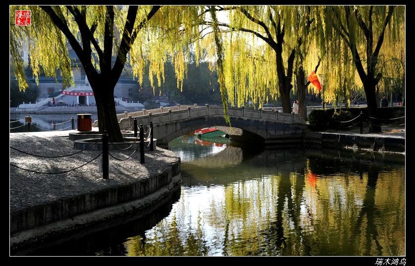 【追寻醉美秋色】4.非著名旅游景点街心公园