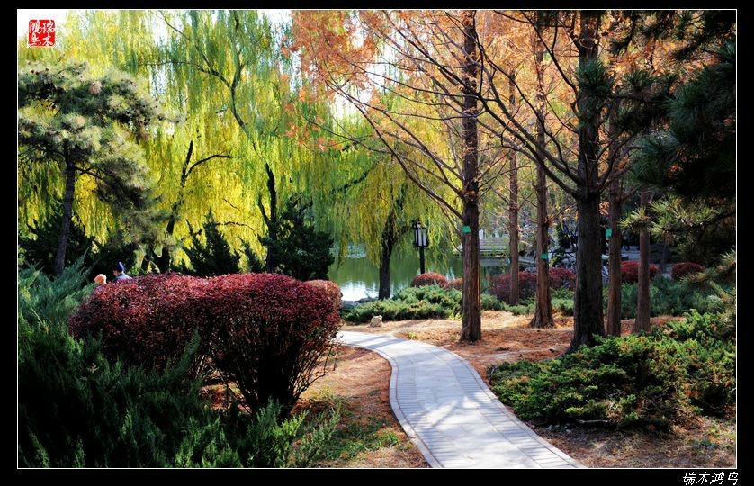 【追寻醉美秋色】4.非著名旅游景点街心公园