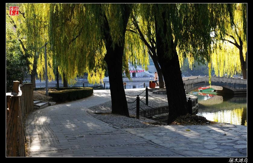 【追寻醉美秋色】4.非著名旅游景点街心公园