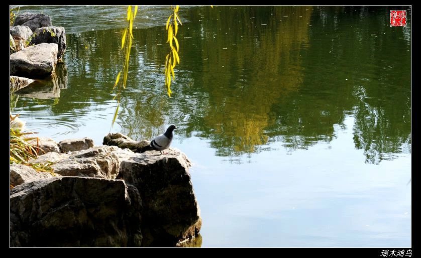 【追寻醉美秋色】4.非著名旅游景点街心公园