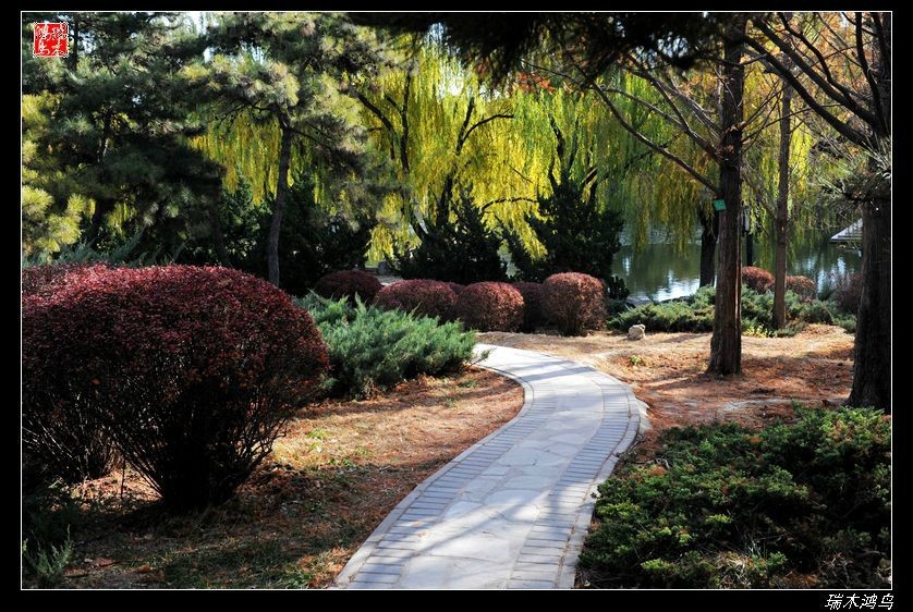 【追寻醉美秋色】4.非著名旅游景点街心公园