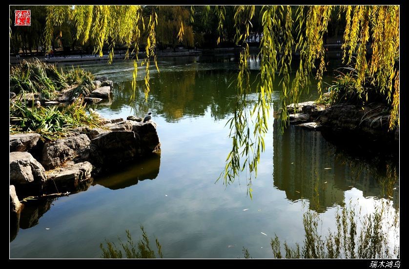 【追寻醉美秋色】4.非著名旅游景点街心公园