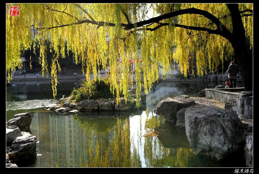 【追寻醉美秋色】4.非著名旅游景点街心公园