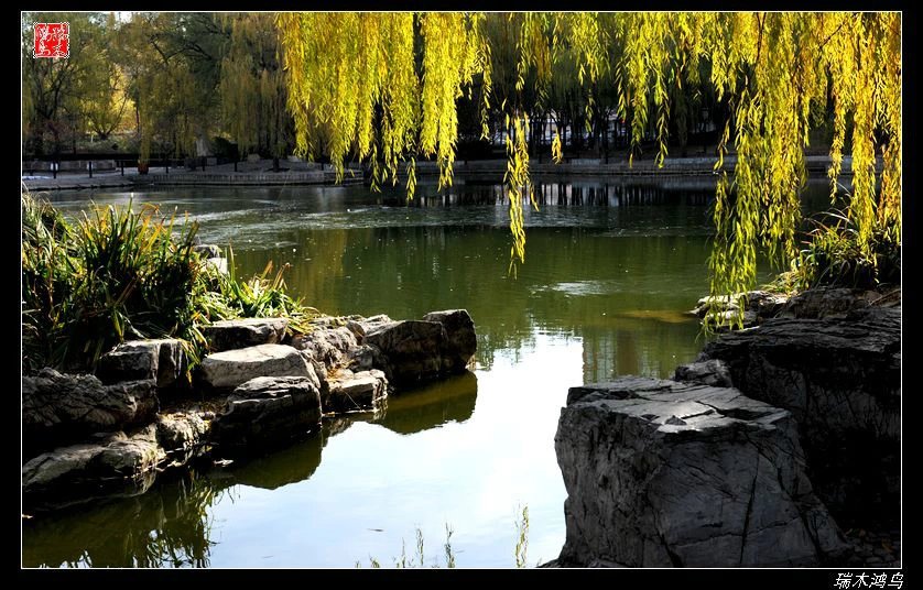 【追寻醉美秋色】4.非著名旅游景点街心公园