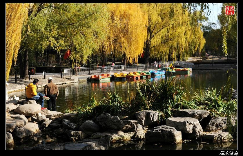 【追寻醉美秋色】4.非著名旅游景点街心公园