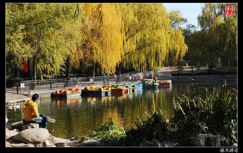 【追寻醉美秋色】4.非著名旅游景点街心公园