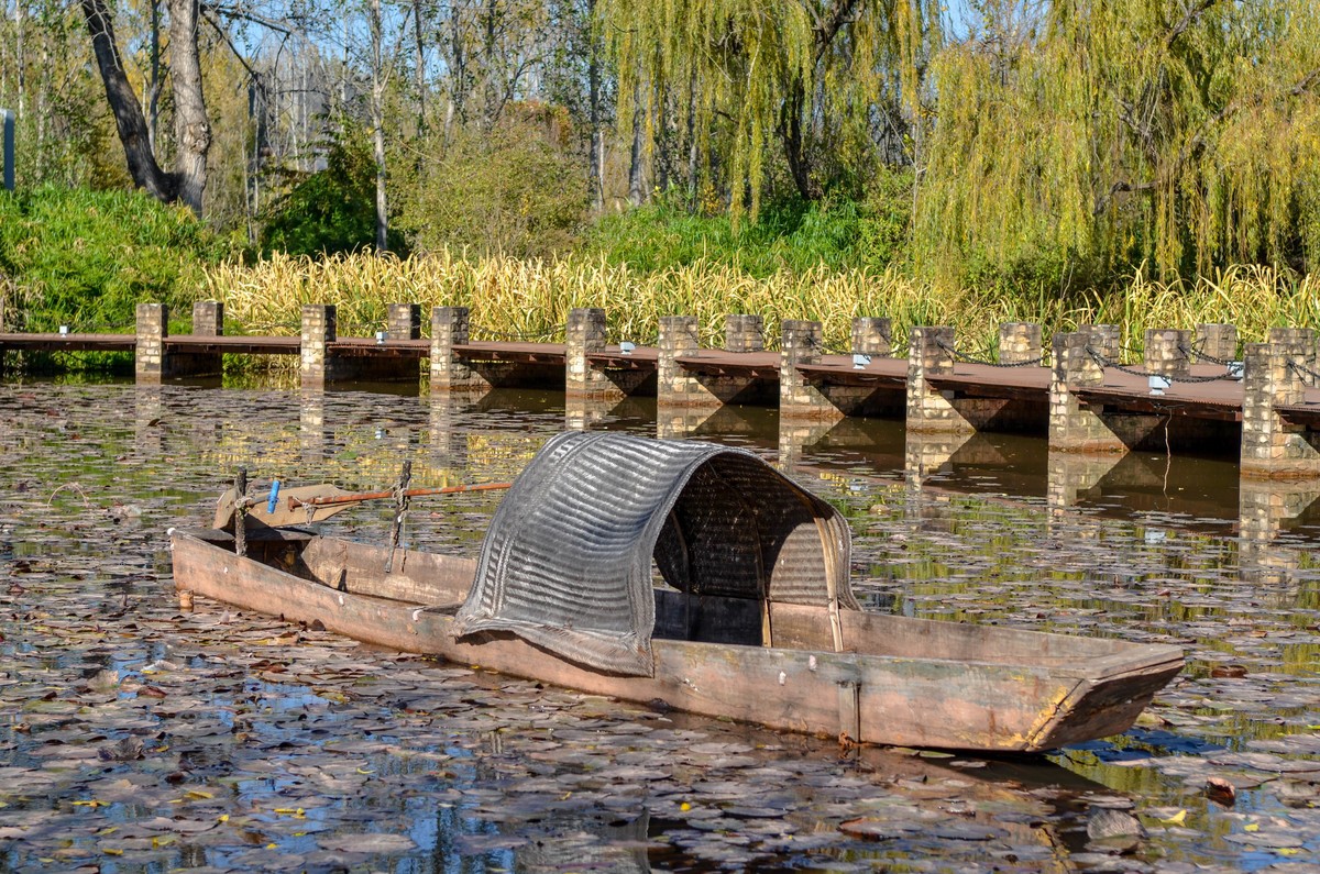 西昌●邛海湿地尼克尔 17-55mm f/2.8G试镜