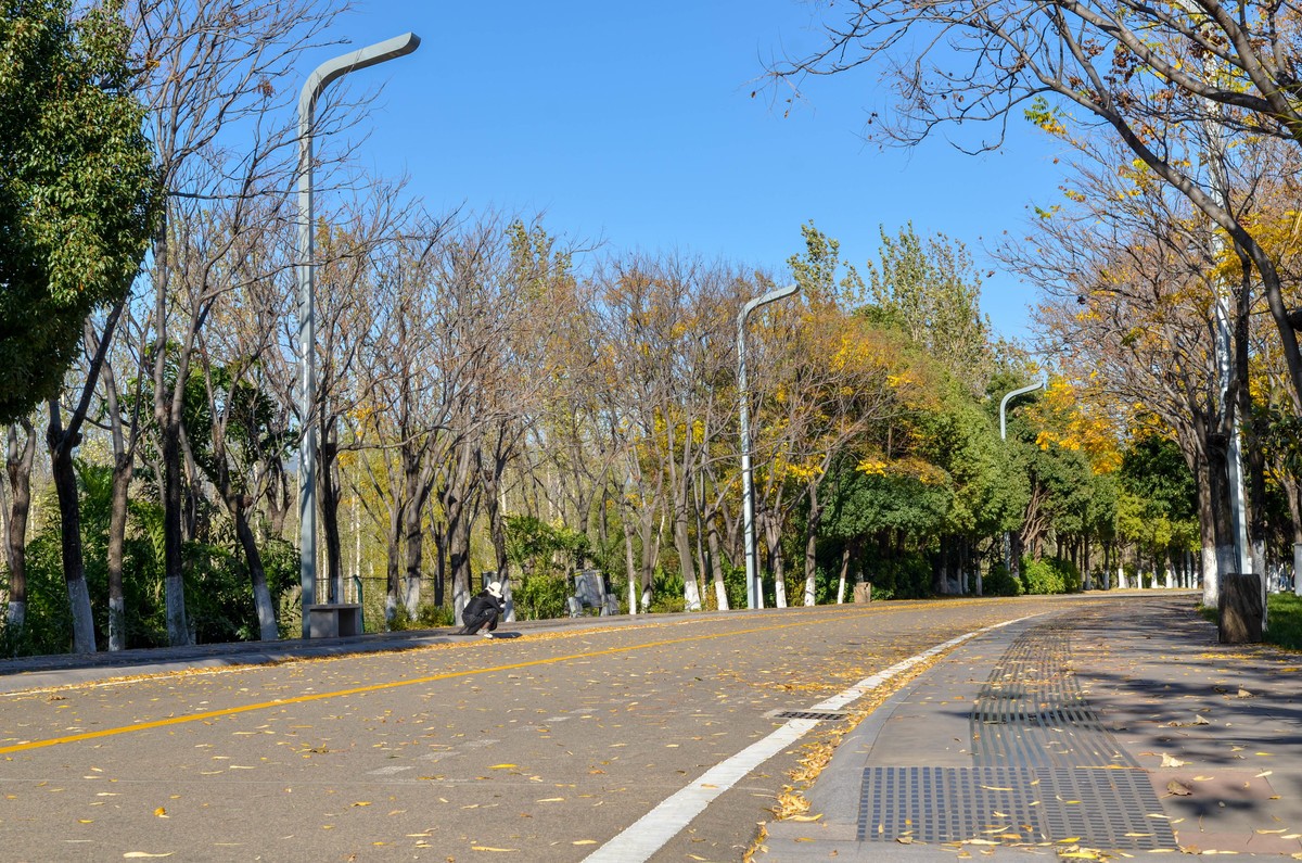 西昌●邛海湿地尼克尔 17-55mm f/2.8G试镜