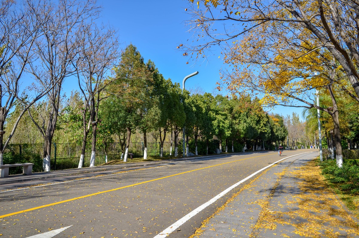西昌●邛海湿地尼克尔 17-55mm f/2.8G试镜