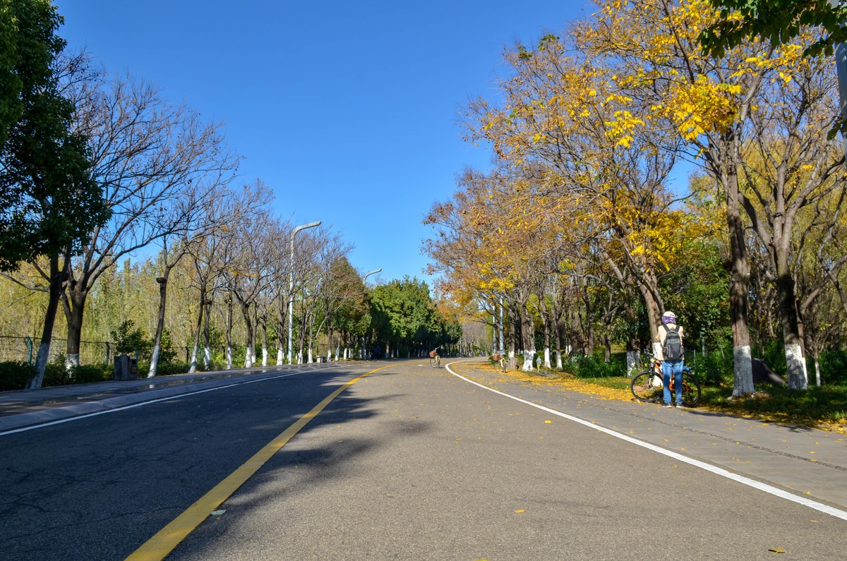 西昌●邛海湿地尼克尔 17-55mm f/2.8G试镜