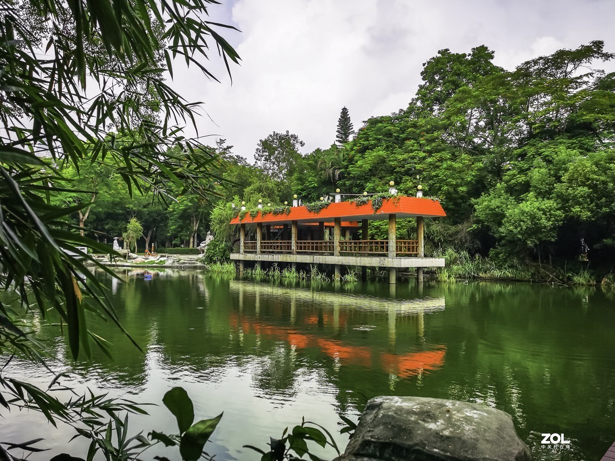 深圳东湖公园掠影