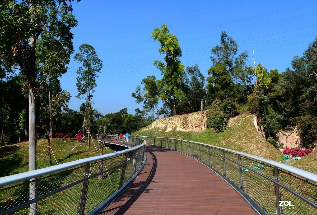 广东游记珠海香山湖公园13