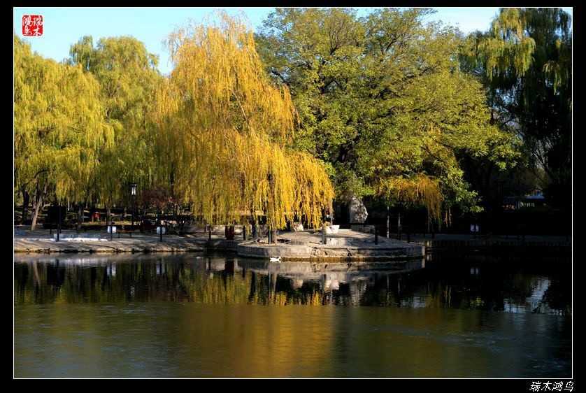 【追寻醉美秋色】4.非著名旅游景点街心公园