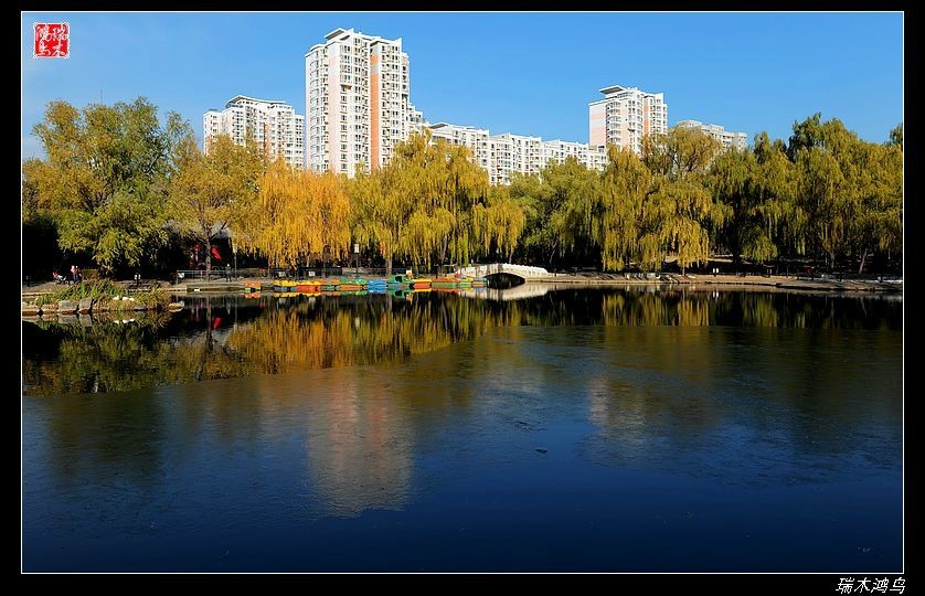 【追寻醉美秋色】4.非著名旅游景点街心公园
