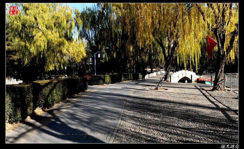 【追寻醉美秋色】4.非著名旅游景点街心公园