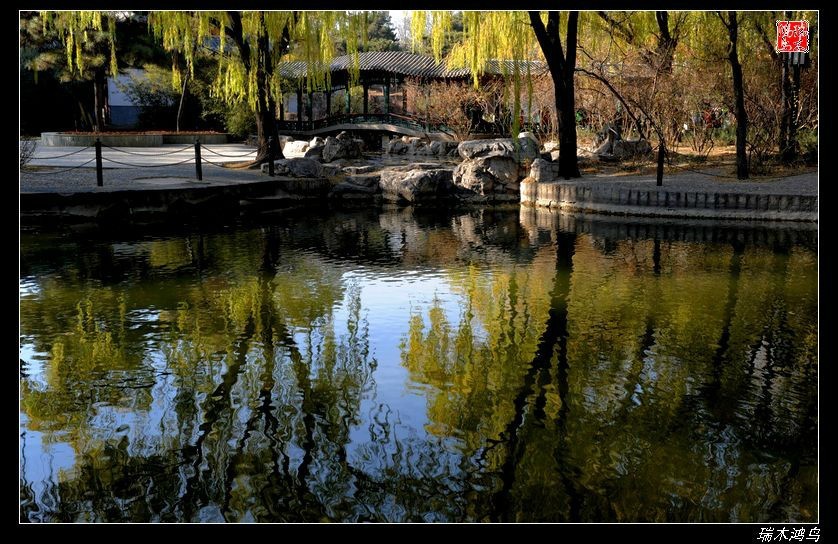 【追寻醉美秋色】4.非著名旅游景点街心公园