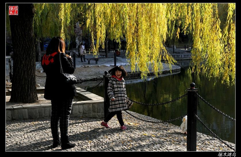 【追寻醉美秋色】4.非著名旅游景点街心公园