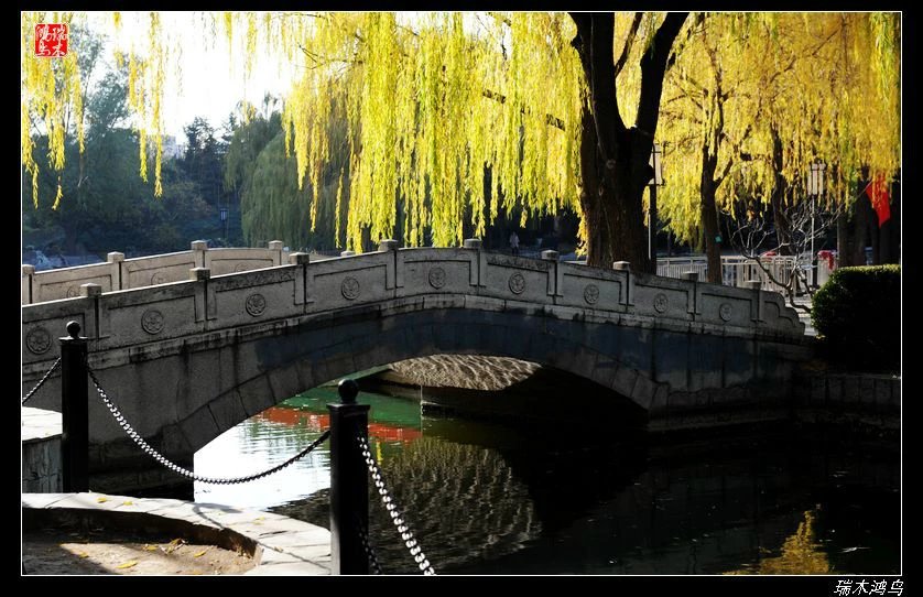 【追寻醉美秋色】4.非著名旅游景点街心公园