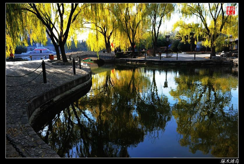 【追寻醉美秋色】4.非著名旅游景点街心公园