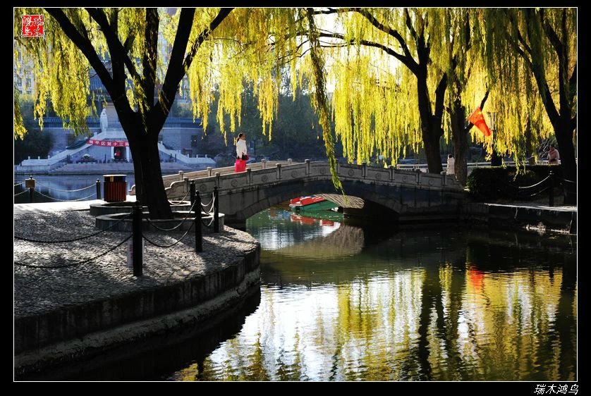 【追寻醉美秋色】4.非著名旅游景点街心公园