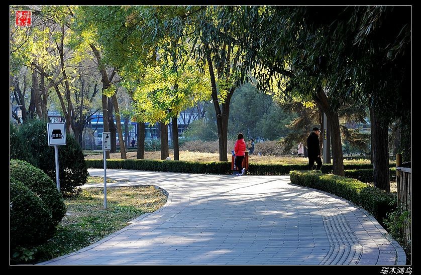 【追寻醉美秋色】4.非著名旅游景点街心公园