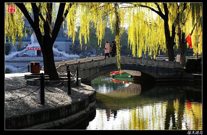 【追寻醉美秋色】4.非著名旅游景点街心公园