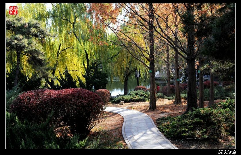 【追寻醉美秋色】4.非著名旅游景点街心公园
