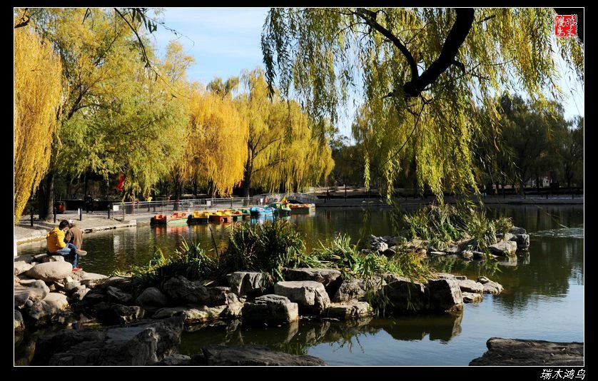 【追寻醉美秋色】4.非著名旅游景点街心公园