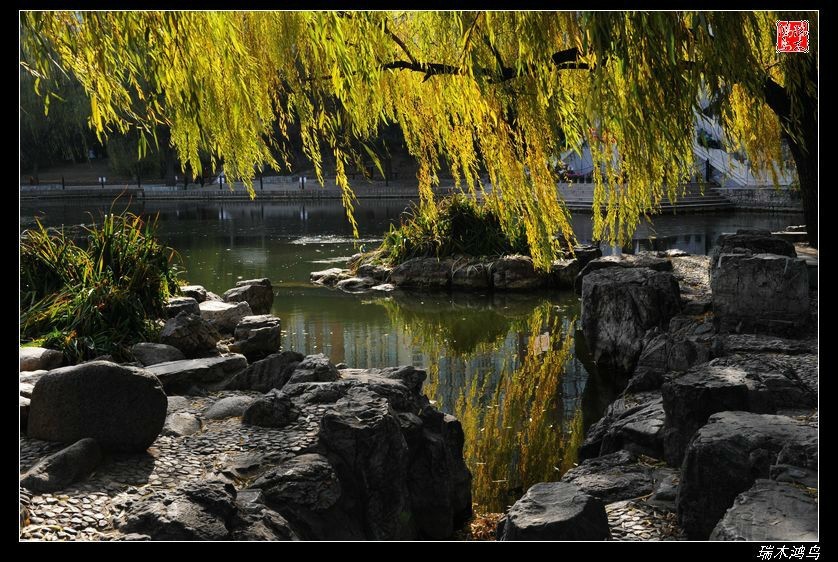 【追寻醉美秋色】4.非著名旅游景点街心公园