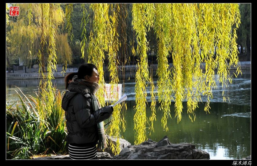 【追寻醉美秋色】4.非著名旅游景点街心公园